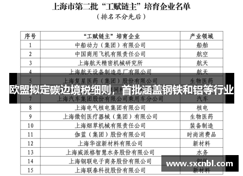 欧盟拟定碳边境税细则，首批涵盖钢铁和铝等行业